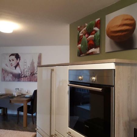Deluxapartment Kaiserslautern Exteriér fotografie